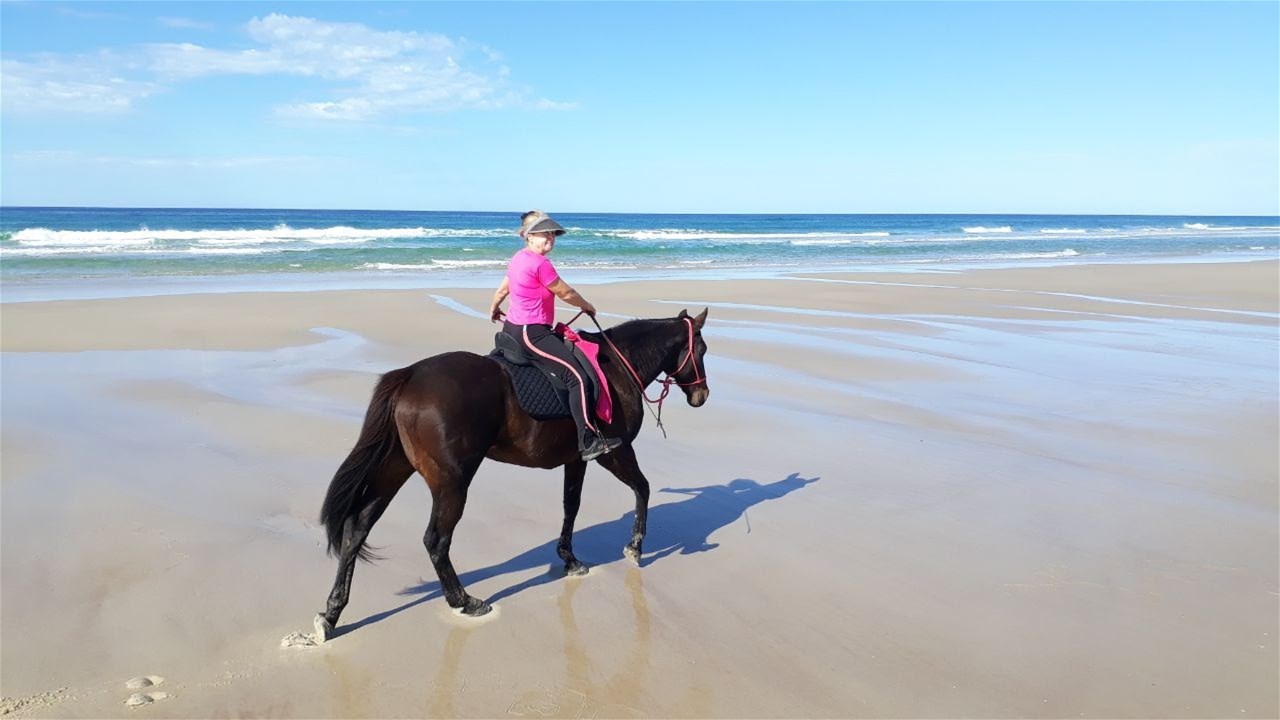 154 Danns Lane, Keith Hall For Sale by Farmbuy.com - image 2