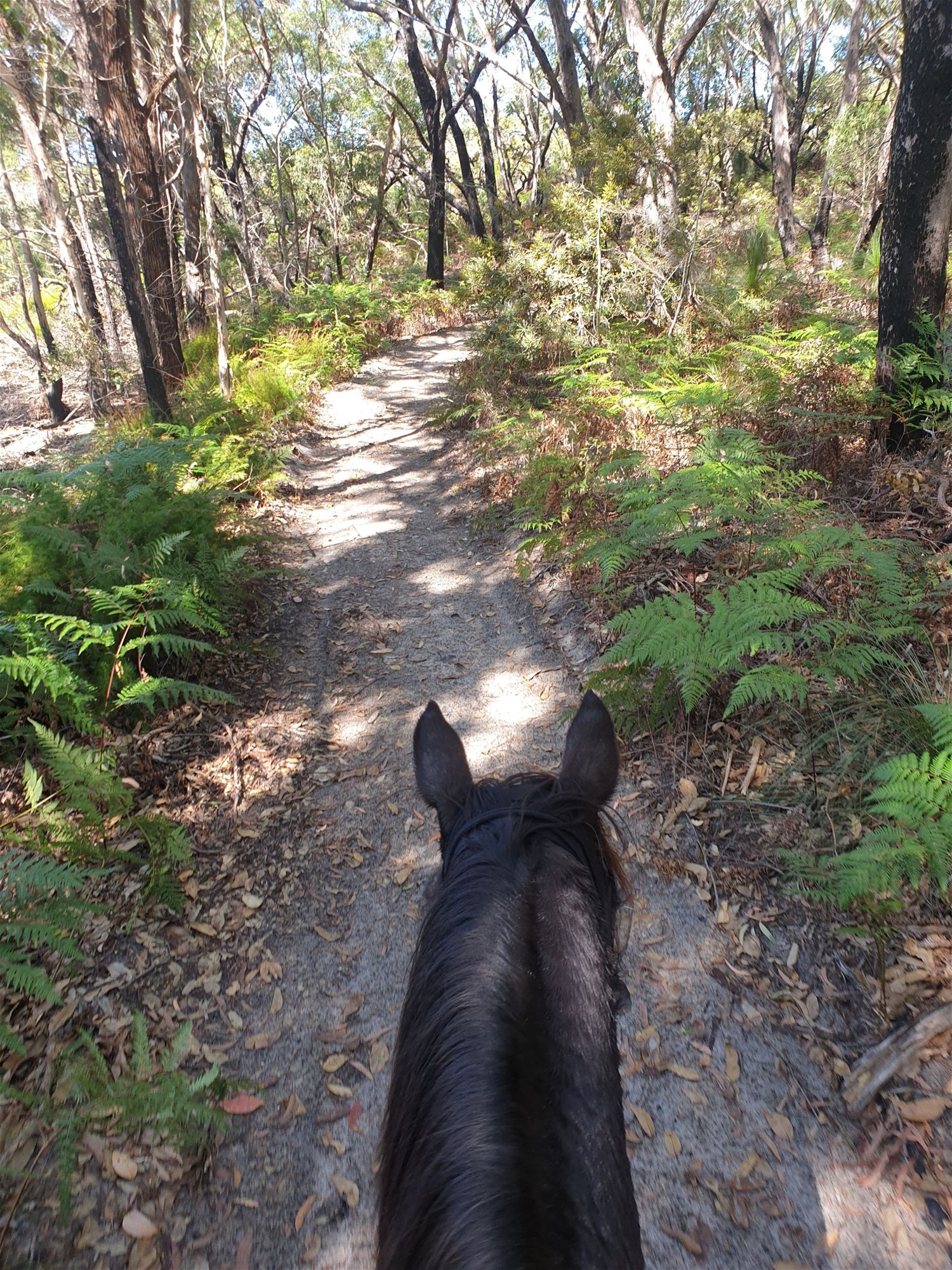 154 Danns Lane, Keith Hall For Sale by Farmbuy.com - image 3