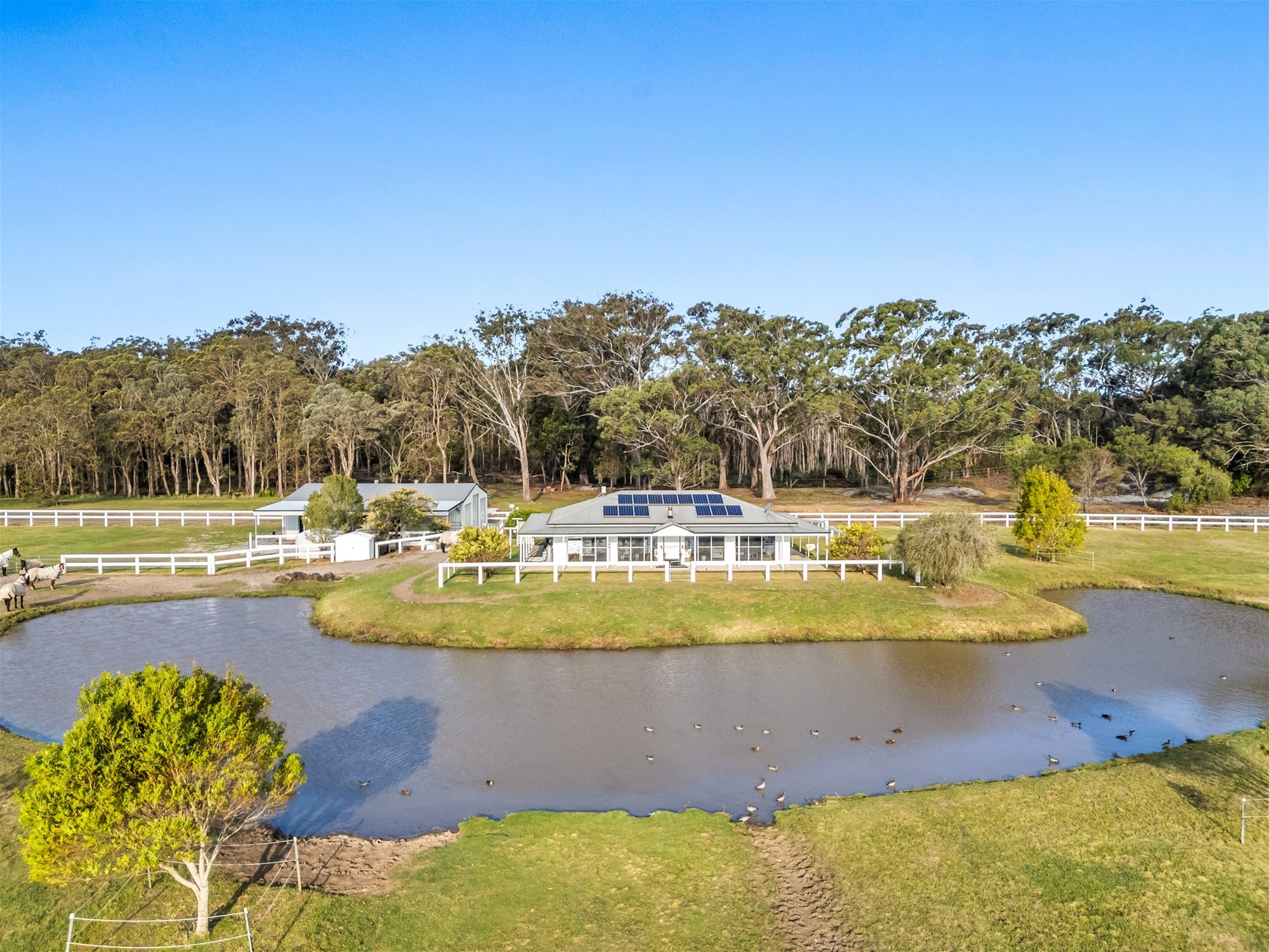 154 Danns Lane, Keith Hall For Sale by Farmbuy.com - image 14