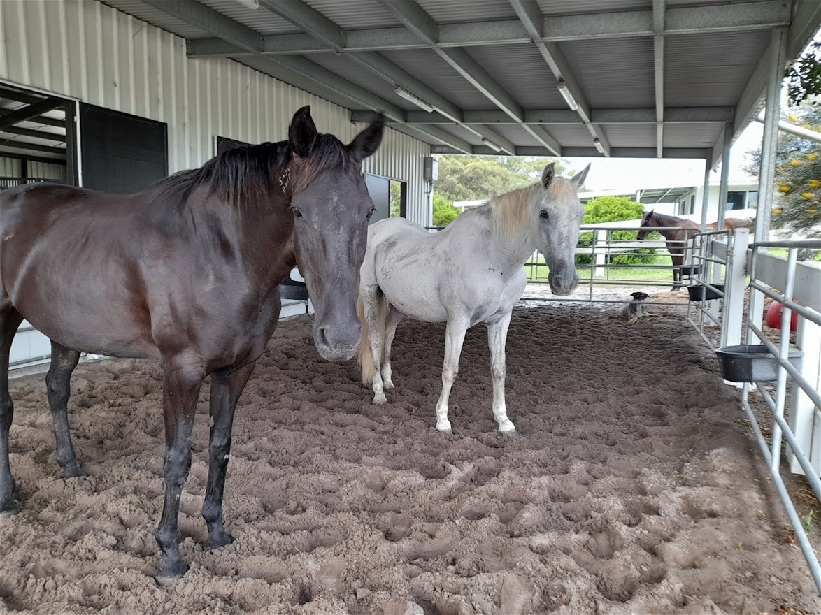 154 Danns Lane, Keith Hall For Sale by Farmbuy.com - image 18