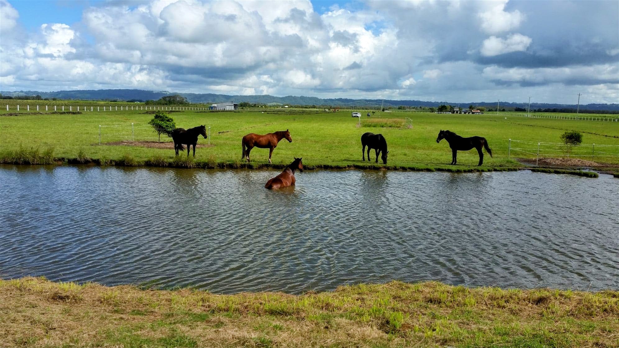 154 Danns Lane, Keith Hall For Sale by Farmbuy.com - image 22