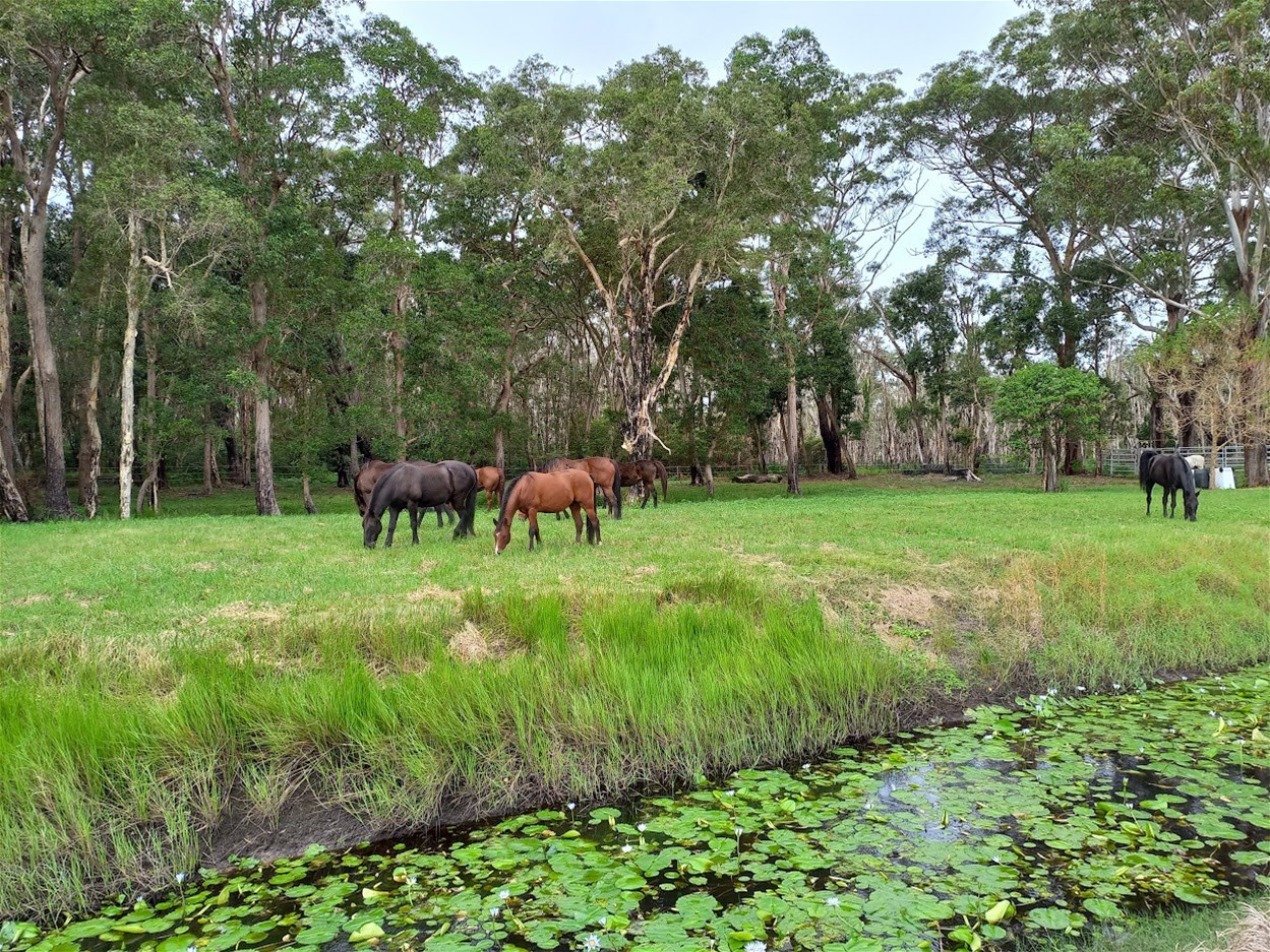 154 Danns Lane, Keith Hall For Sale by Farmbuy.com - image 24