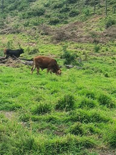 697 Ingoldsby Rd, Ingoldsby For Sale by Farmbuy.com - image 23