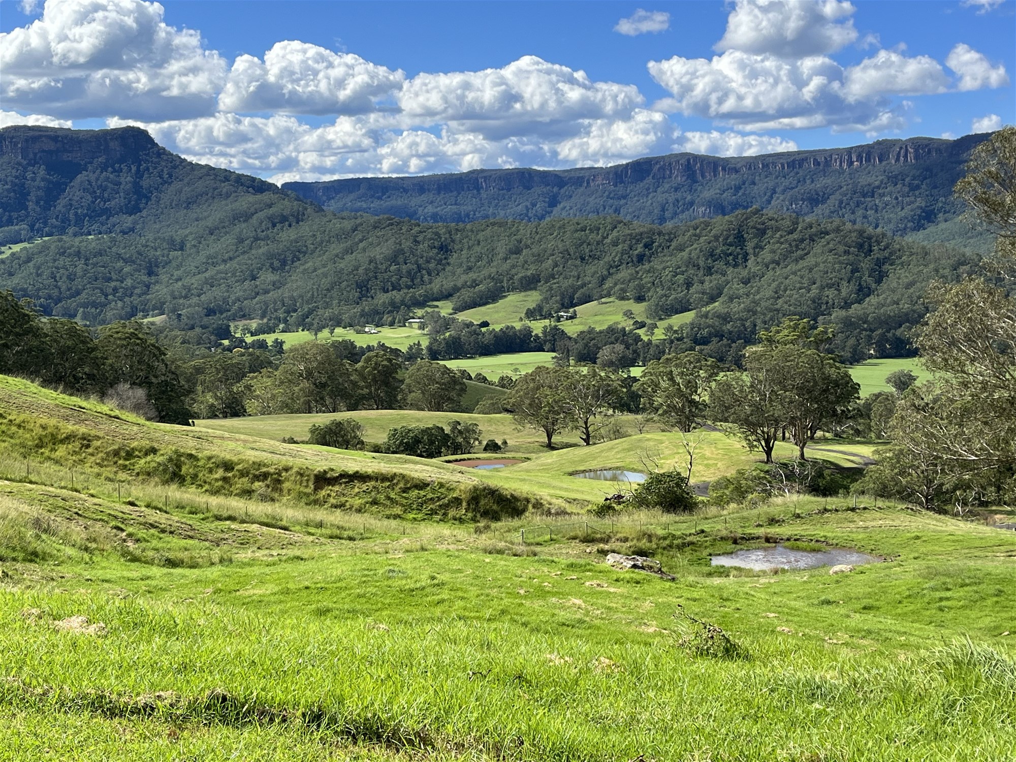 2319 Moss Vale Road, Kangaroo Valley For Sale by Farmbuy.com - image 8