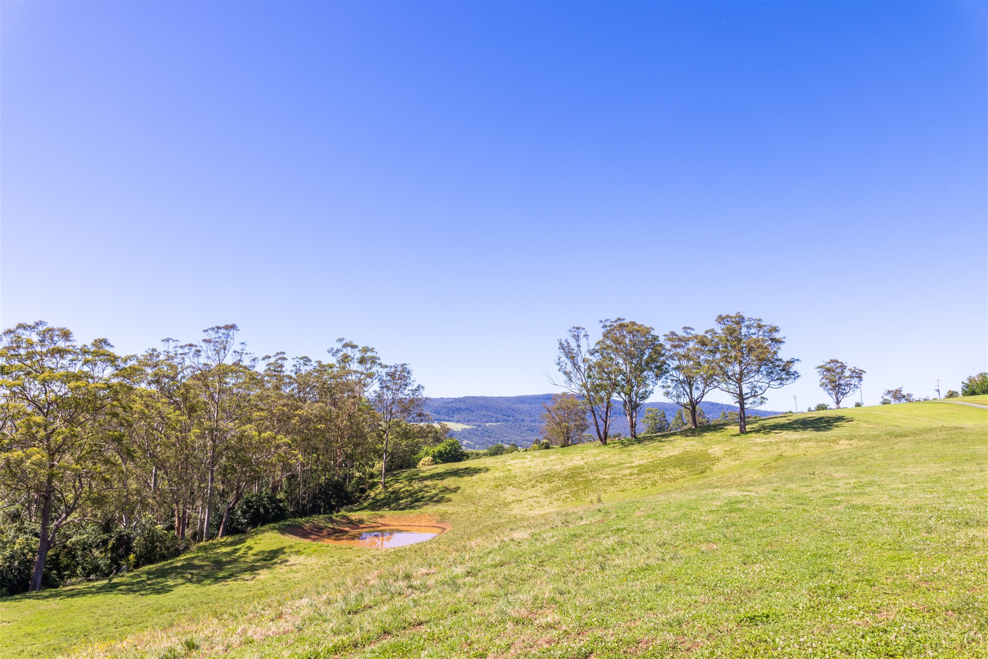 2319 Moss Vale Road, Kangaroo Valley For Sale by Farmbuy.com - image 21