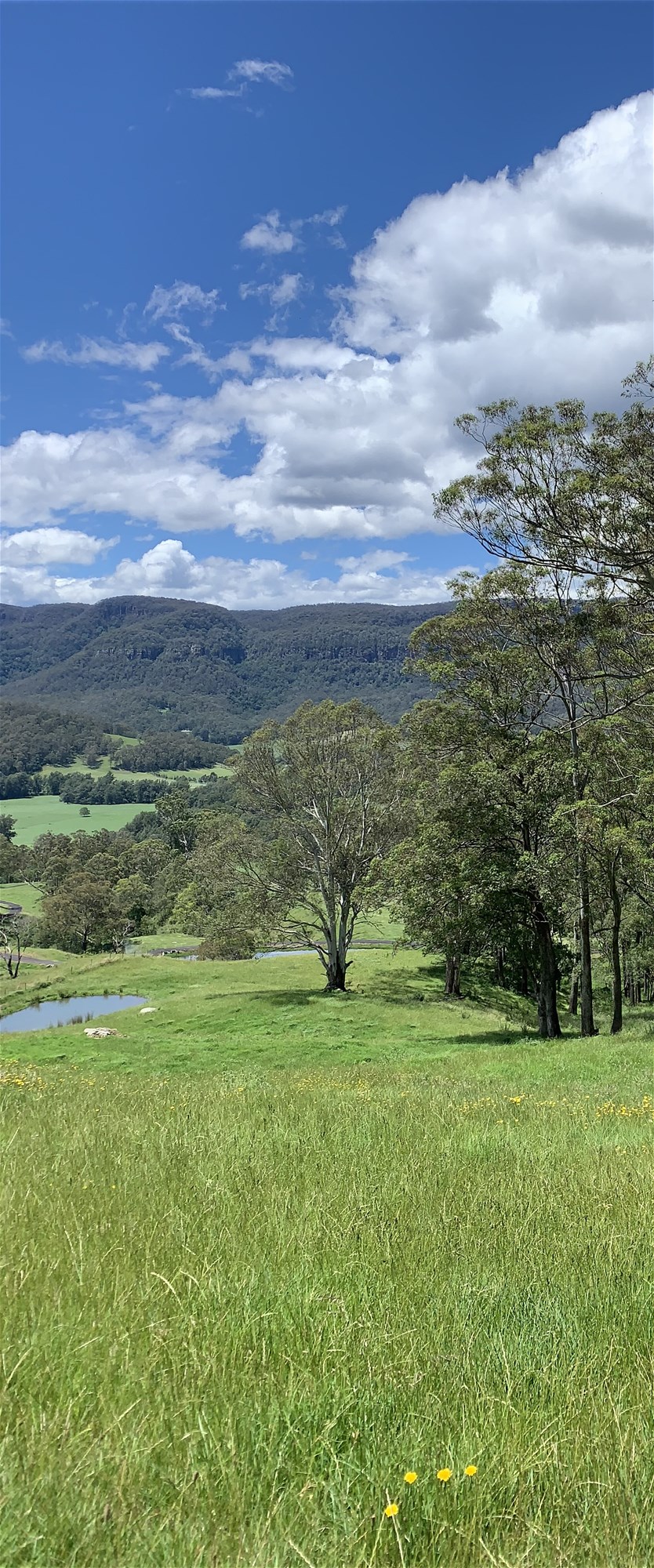 2319 Moss Vale Road, Kangaroo Valley For Sale by Farmbuy.com - image 27