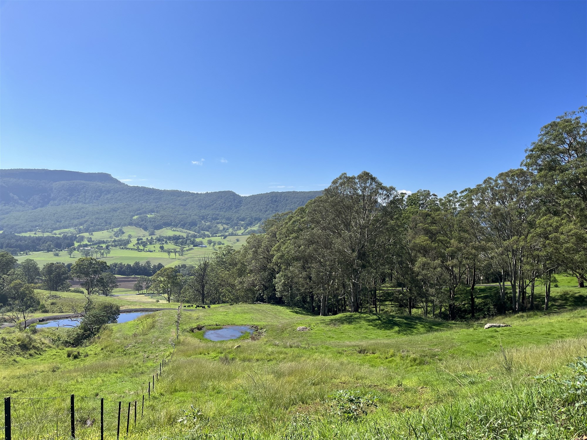 2319 Moss Vale Road, Kangaroo Valley For Sale by Farmbuy.com - image 31