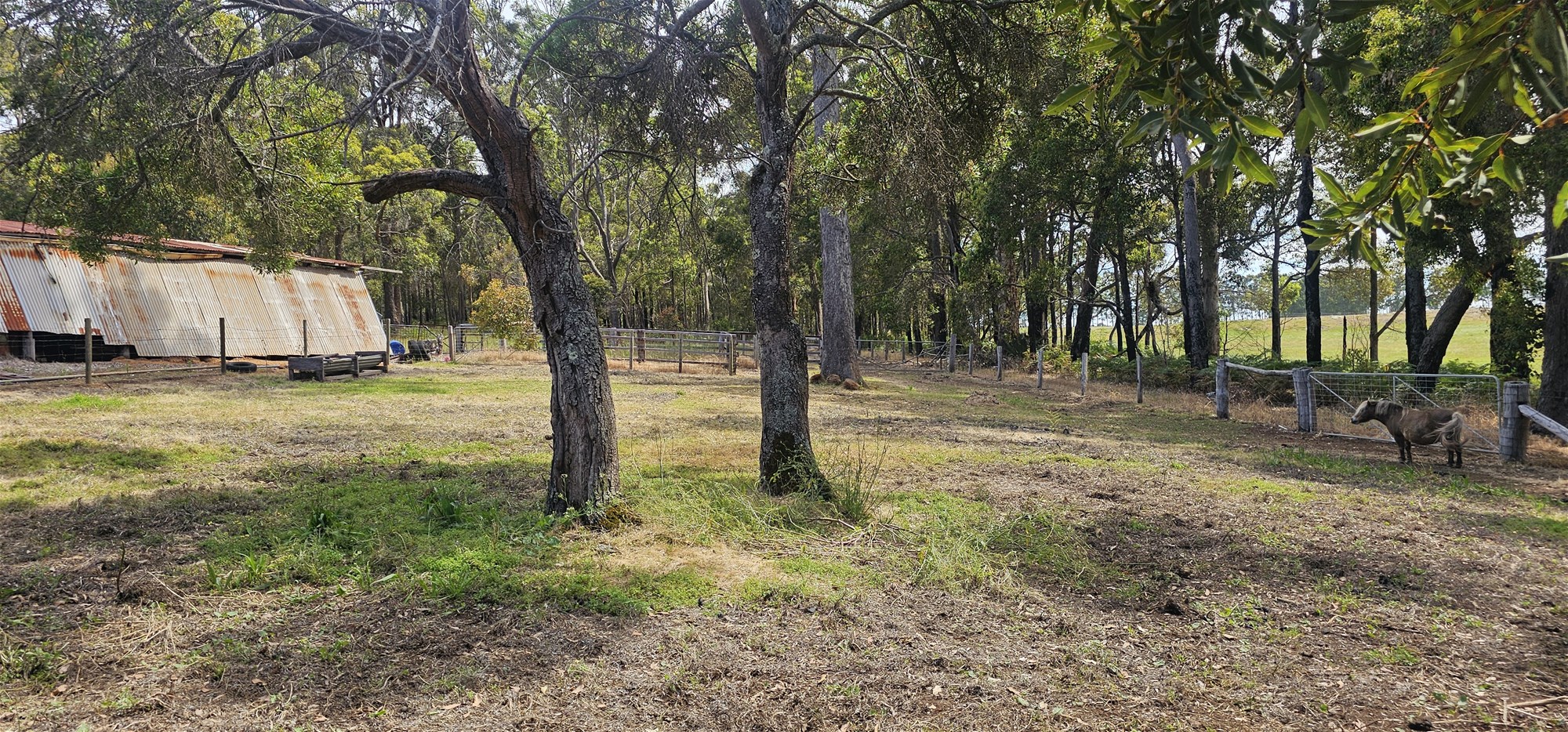 334 Springall Road, Deanmill For Sale by Farmbuy.com - image 20