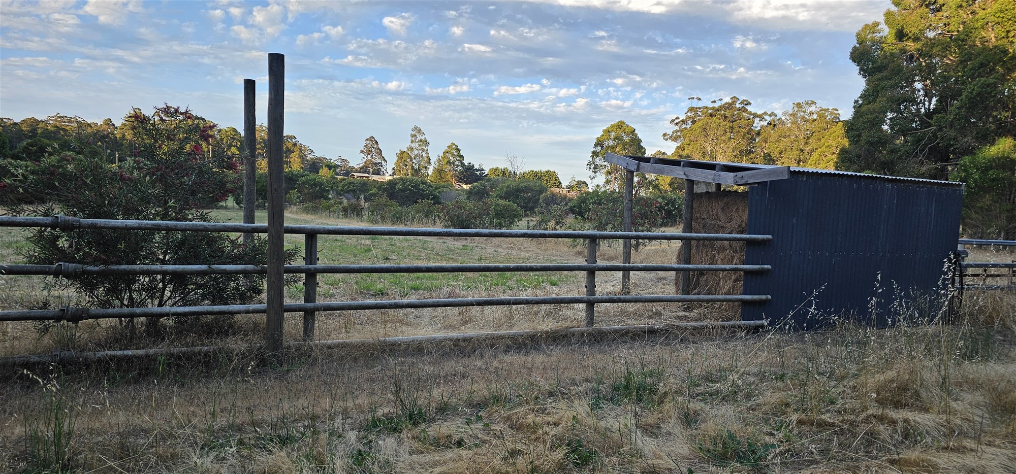 334 Springall Road, Deanmill For Sale by Farmbuy.com - image 21