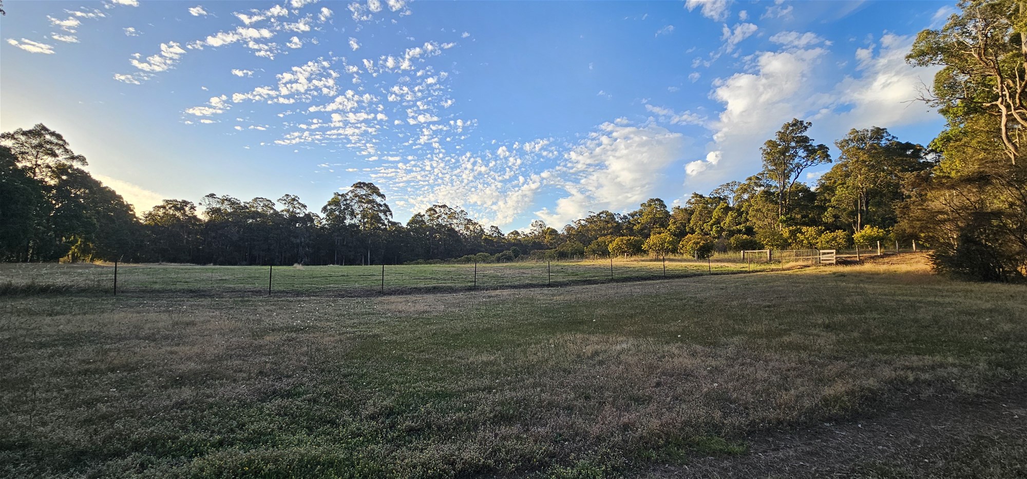 334 Springall Road, Deanmill For Sale by Farmbuy.com - image 22