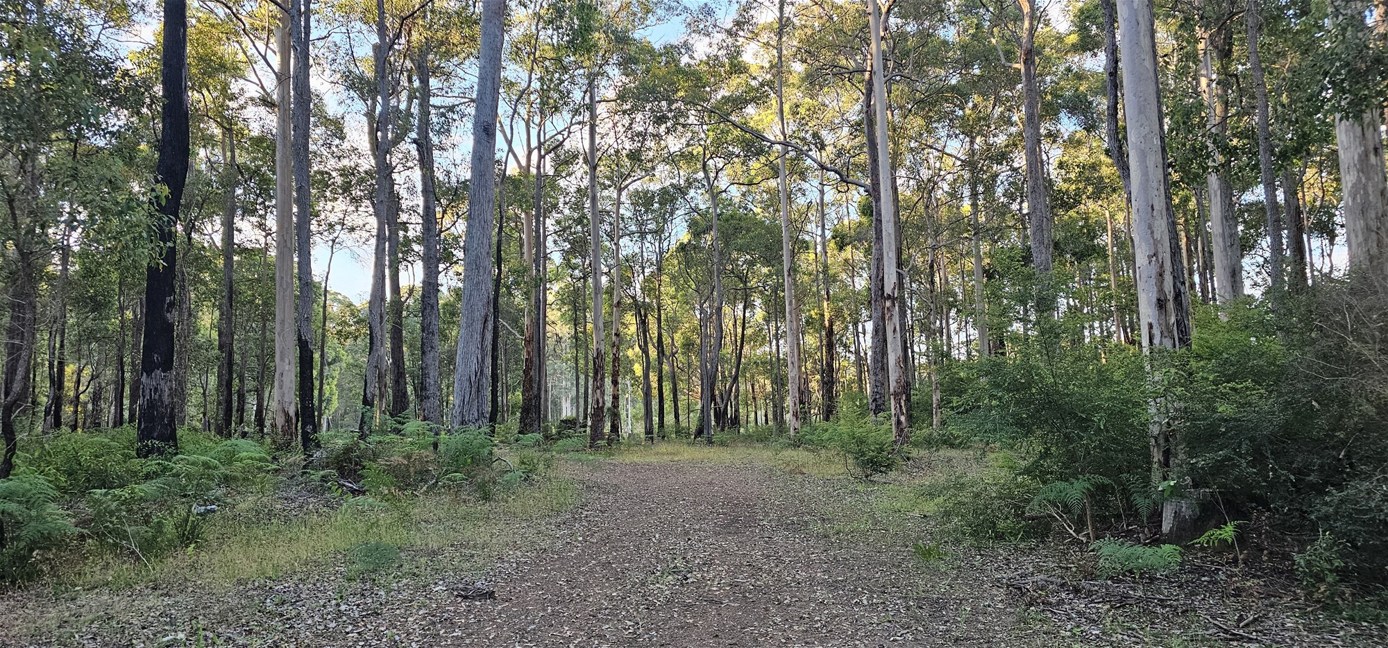 334 Springall Road, Deanmill For Sale by Farmbuy.com - image 26