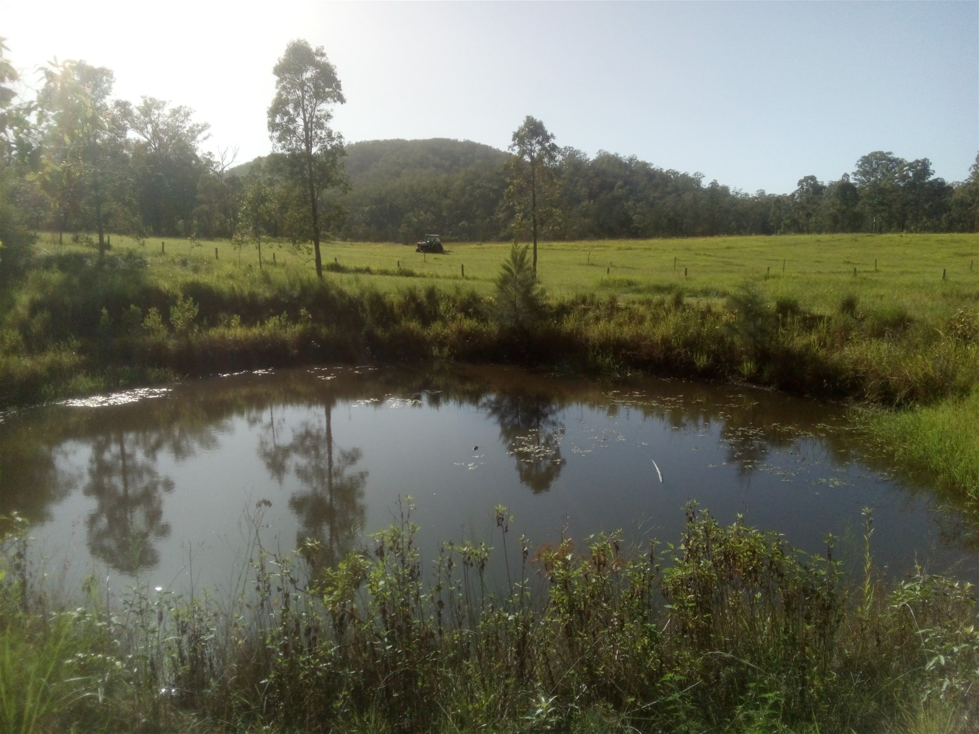 1534 AB Paddy's Flat Road, Tabulam For Sale by Farmbuy.com - image 9