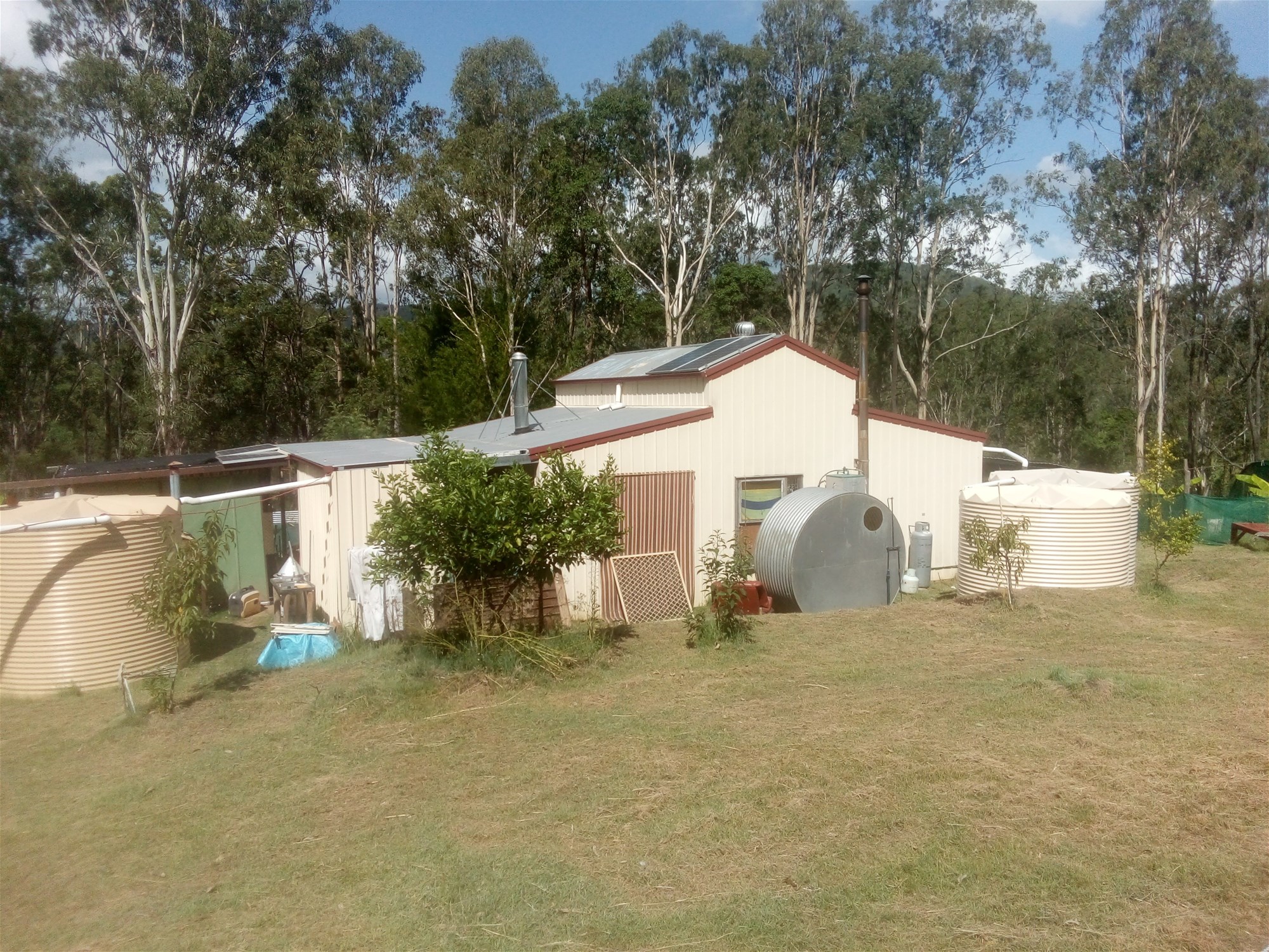 1534 AB Paddy's Flat Road, Tabulam For Sale by Farmbuy.com - image 10