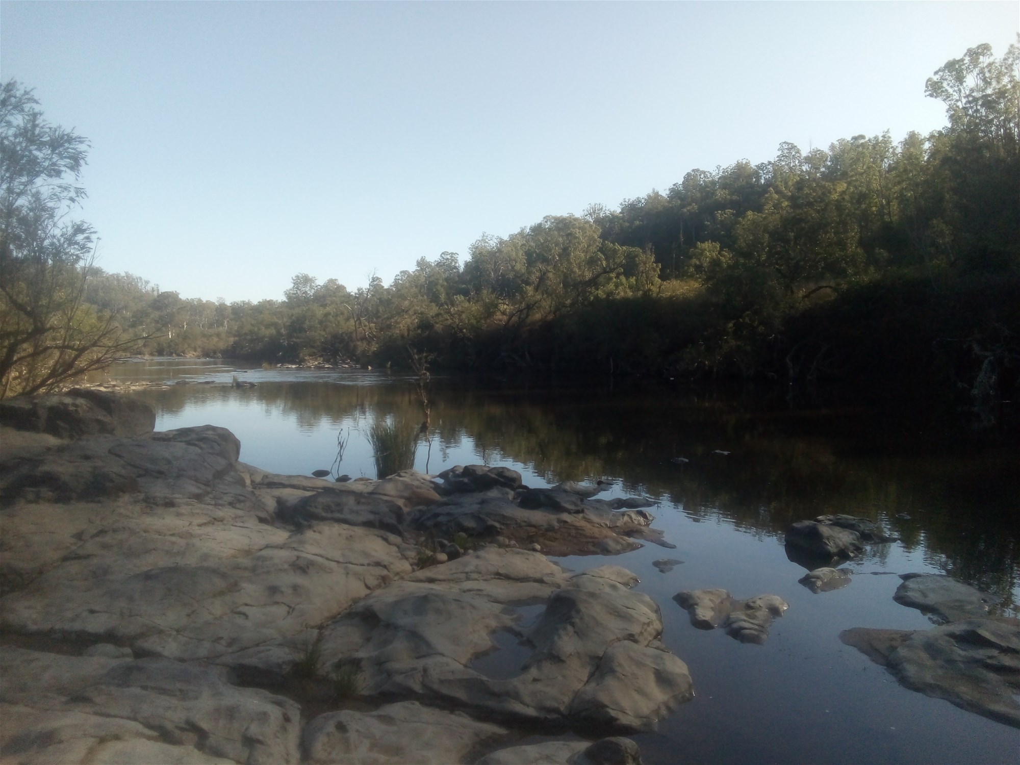 1534 AB Paddy's Flat Road, Tabulam For Sale by Farmbuy.com - image 11