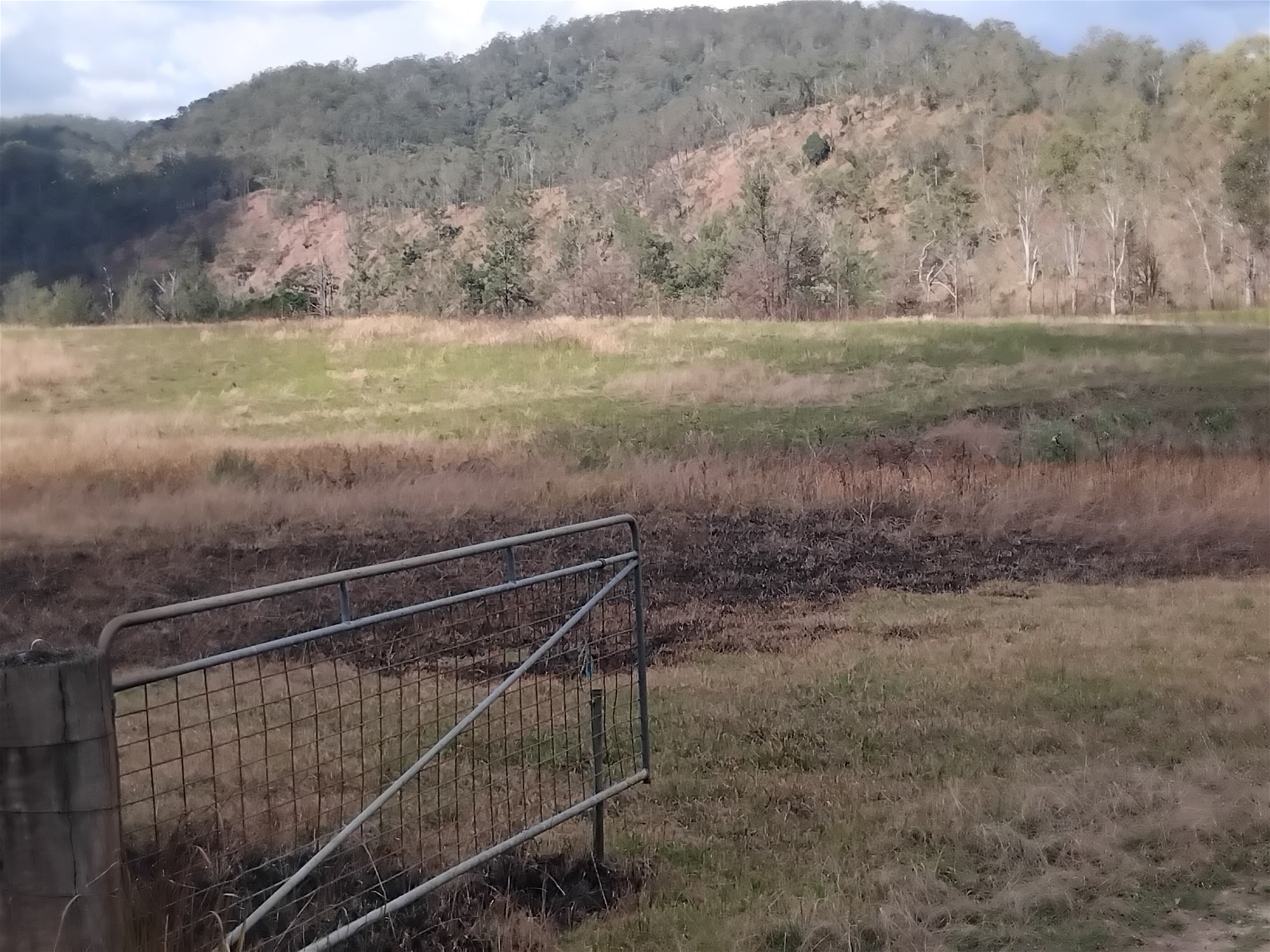 1534 AB Paddy's Flat Road, Tabulam For Sale by Farmbuy.com - image 12