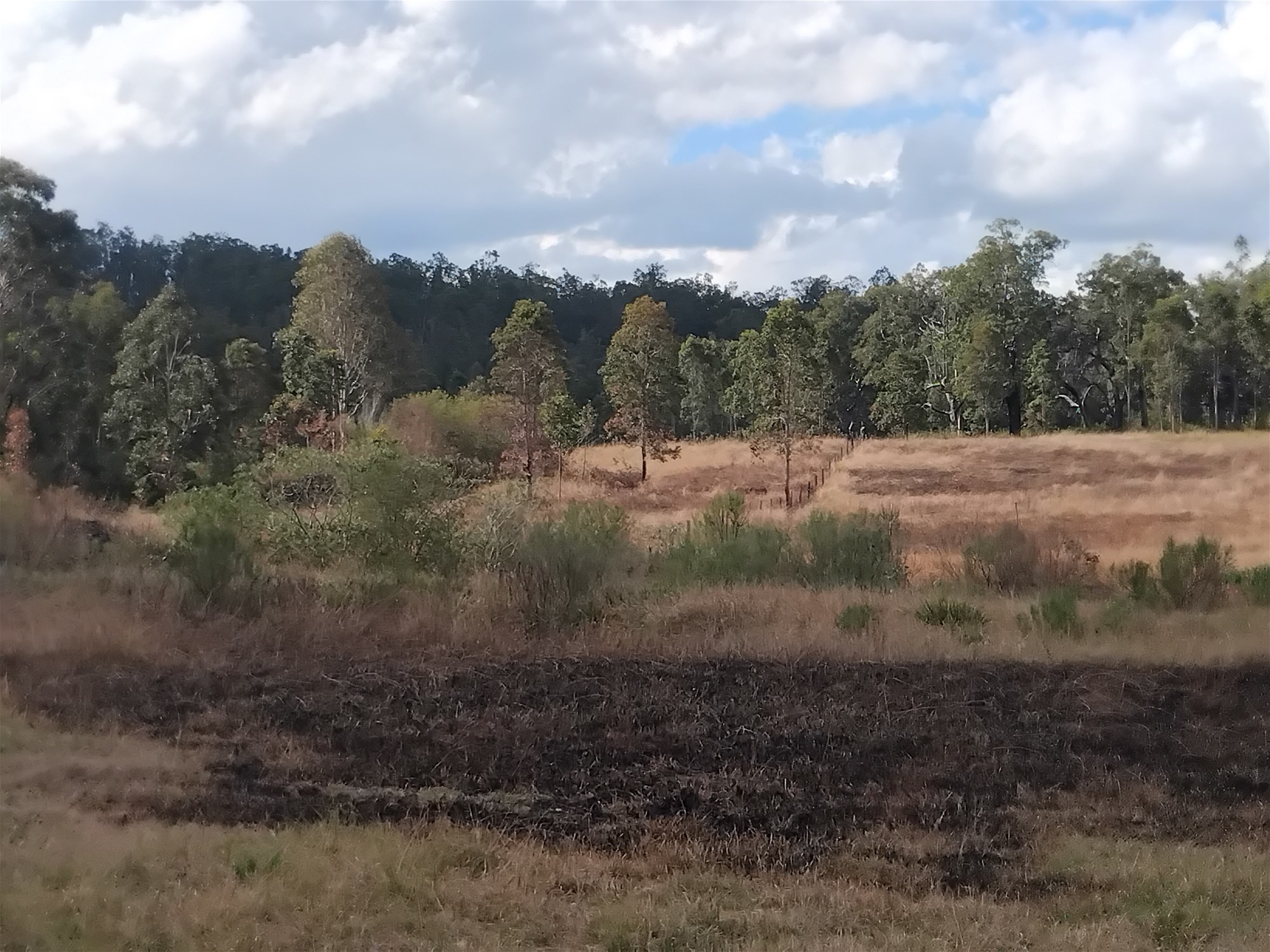 1534 AB Paddy's Flat Road, Tabulam For Sale by Farmbuy.com - image 13