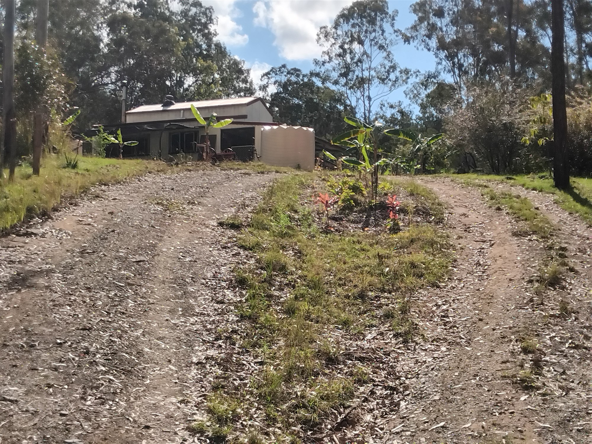 1534 AB Paddy's Flat Road, Tabulam For Sale by Farmbuy.com - image 14