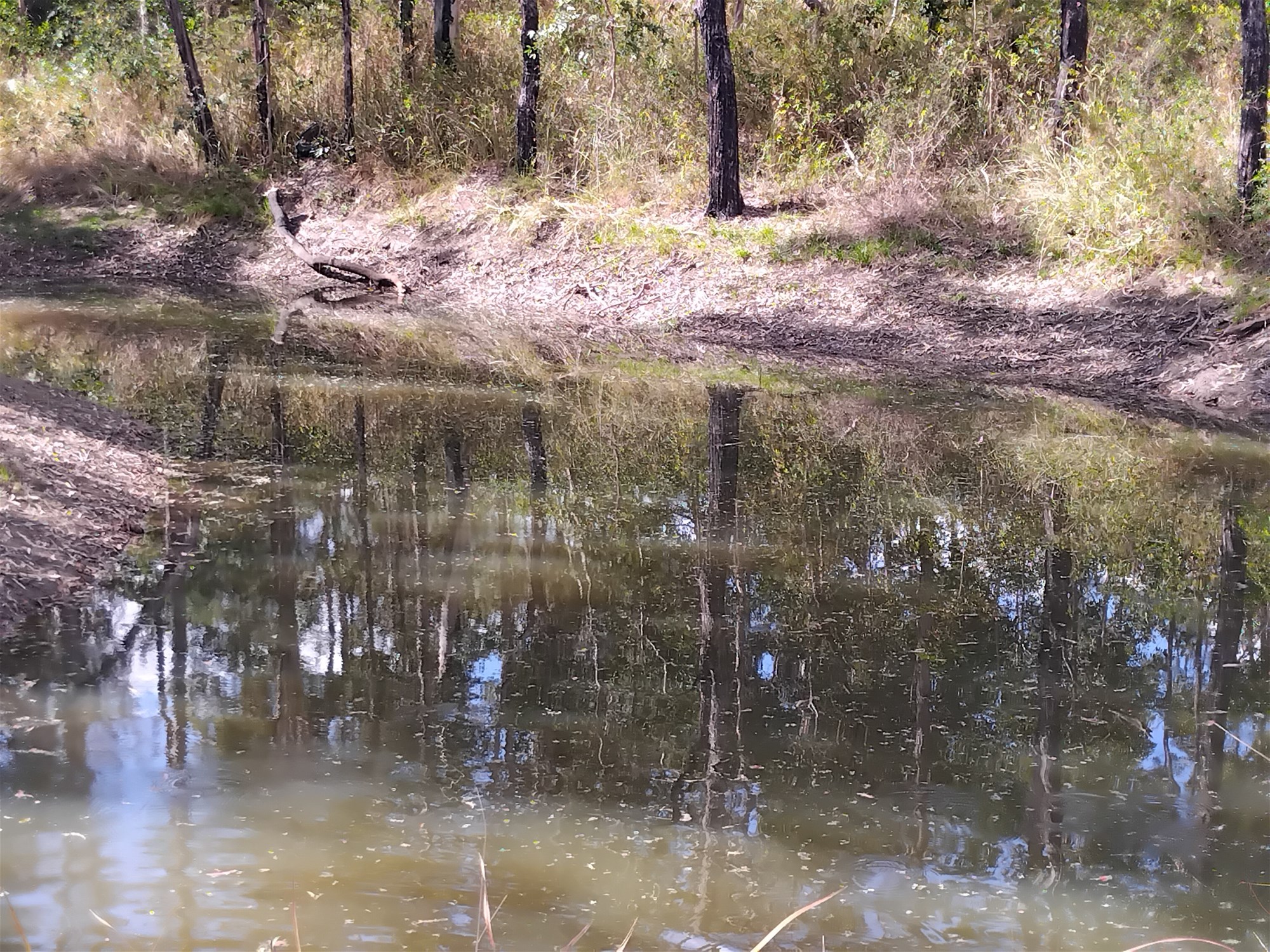 1534 AB Paddy's Flat Road, Tabulam For Sale by Farmbuy.com - image 15