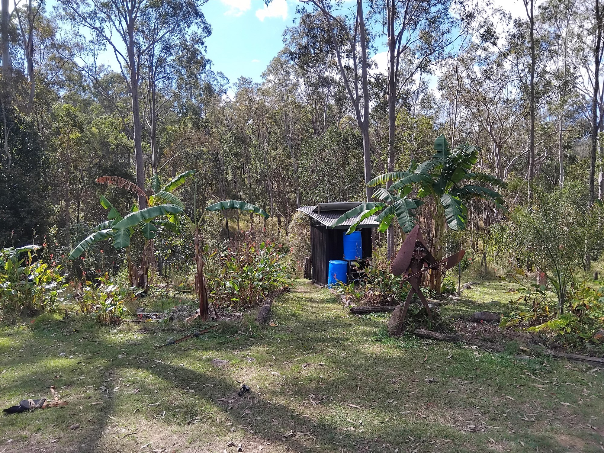 1534 AB Paddy's Flat Road, Tabulam For Sale by Farmbuy.com - image 23