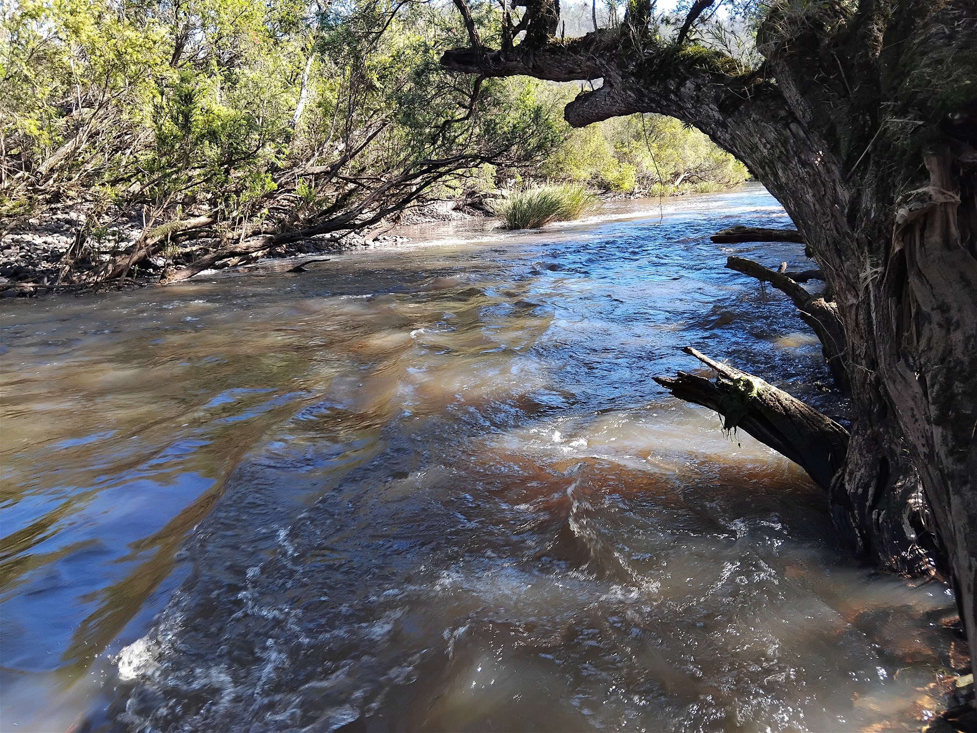 1534 AB Paddy's Flat Road, Tabulam For Sale by Farmbuy.com - image 26