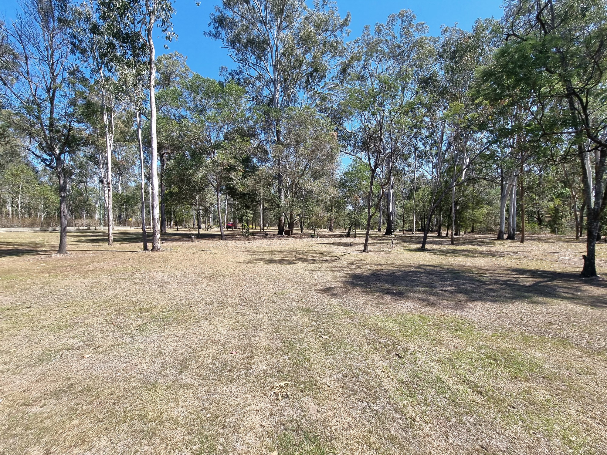 Real Estate for Sale in BLACKBUTT