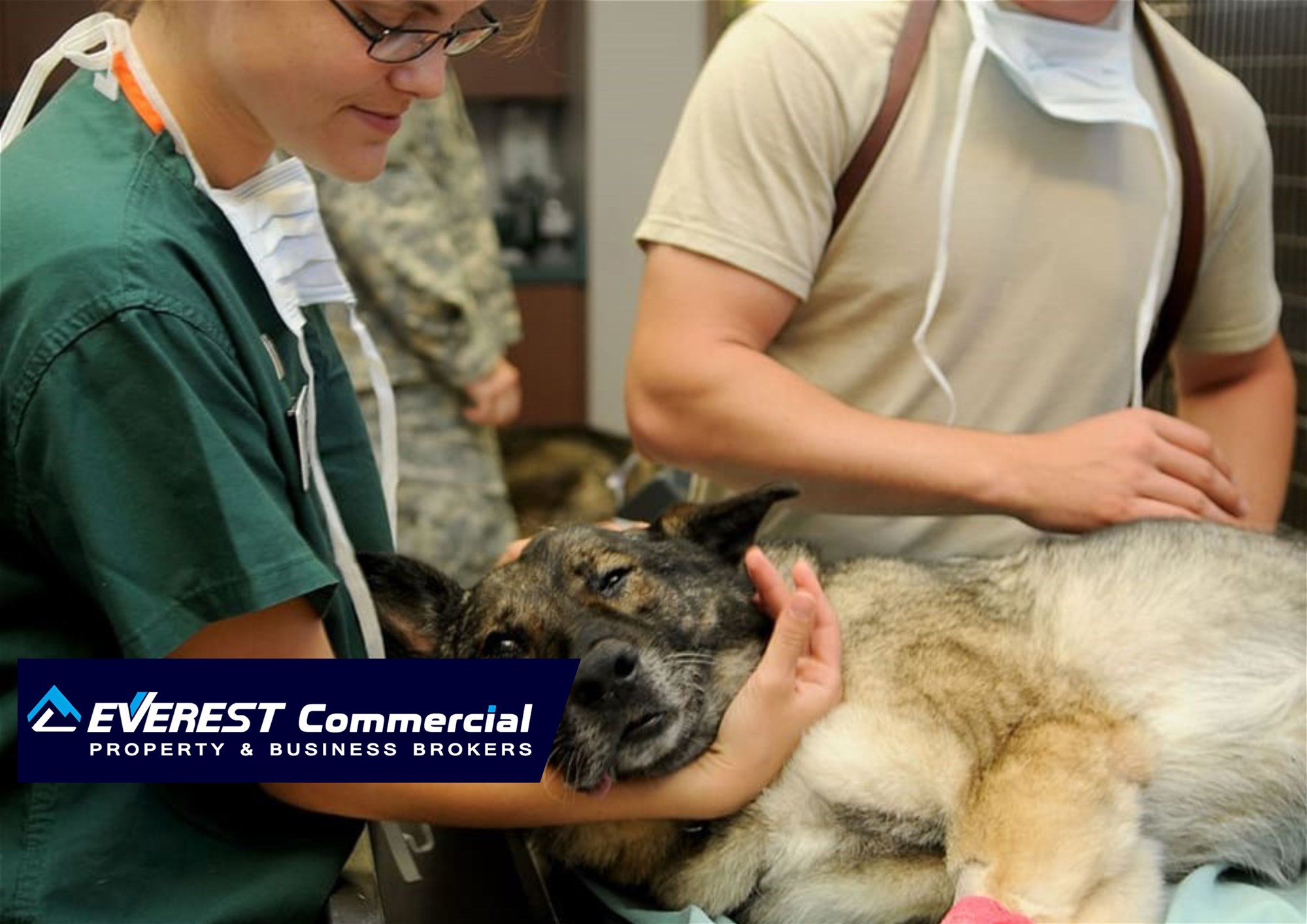--UNDER OFFER --Exceptional Veterinary Business for Sale South East Of Victoria business listing