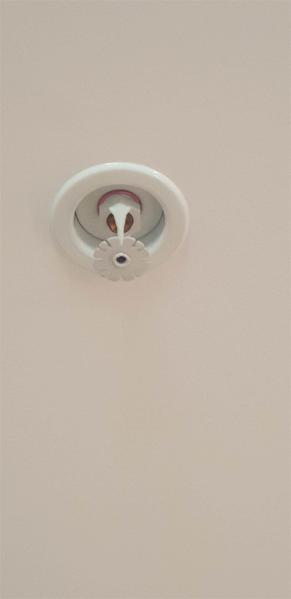 Excellent building for an Aged 32