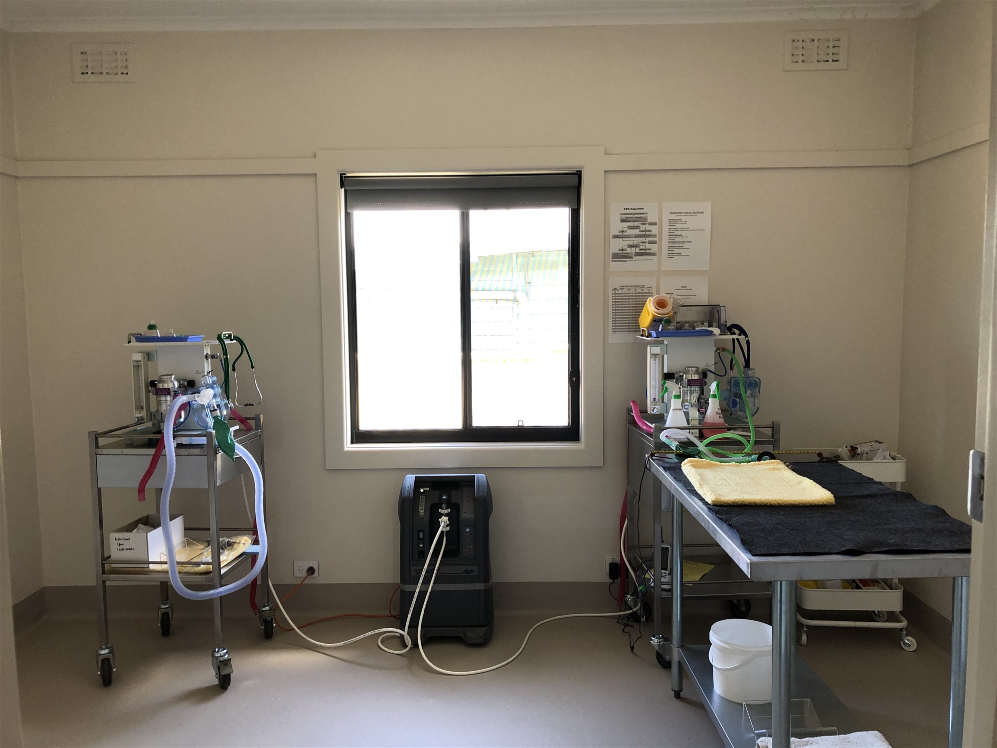 Prominent Prime Veterinary/Medical/Consulting Space Available 10