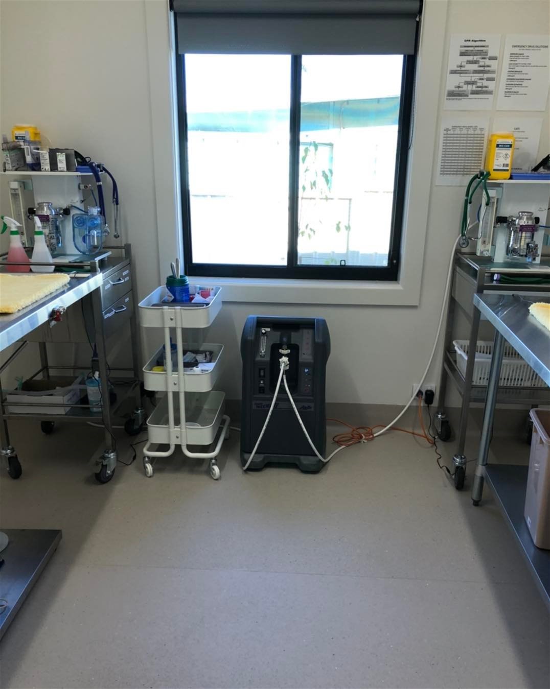 Prominent Prime Veterinary/Medical/Consulting Space Available 9