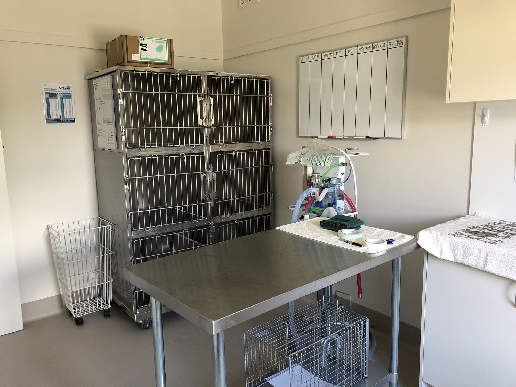 Prominent Prime Veterinary/Medical/Consulting Space Available 12