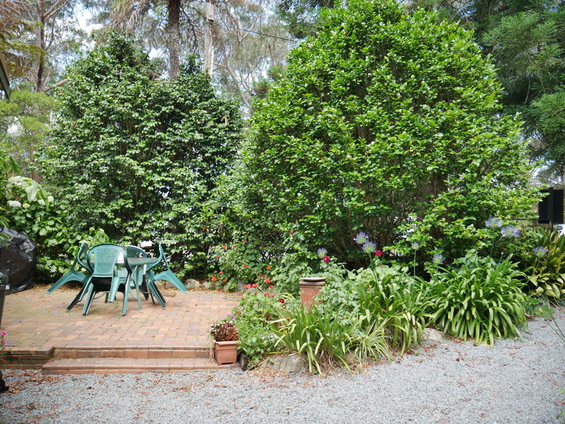Cafe & Bed n Breakfast 11