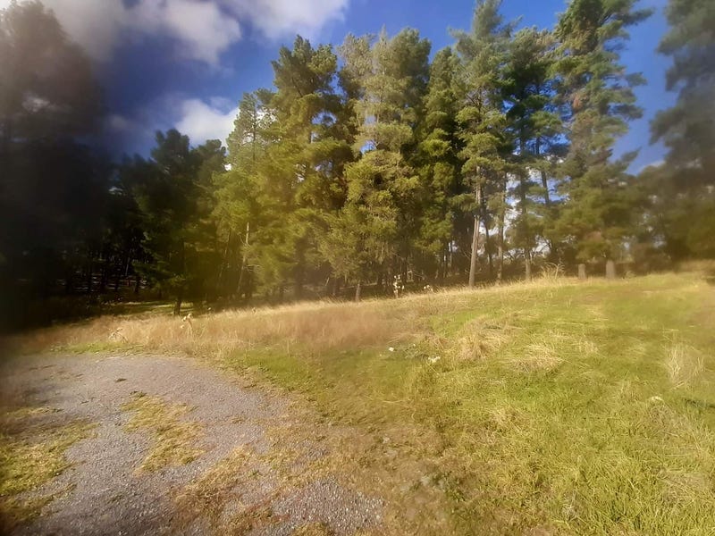 Approximately 4 Hectares of Land 2