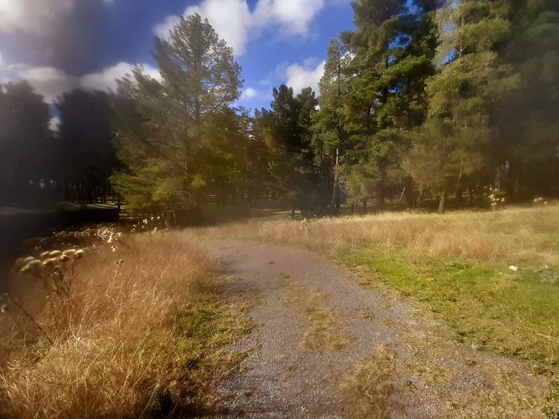 Approximately 4 Hectares of Land 3