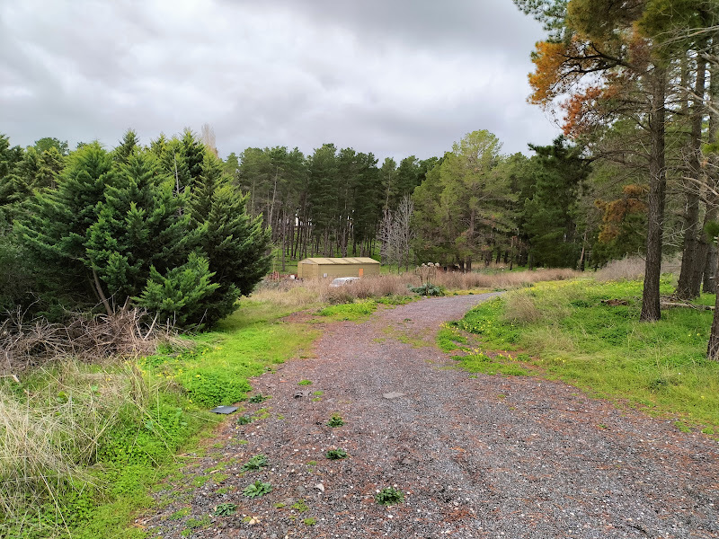 Approximately 4 Hectares of Land 4