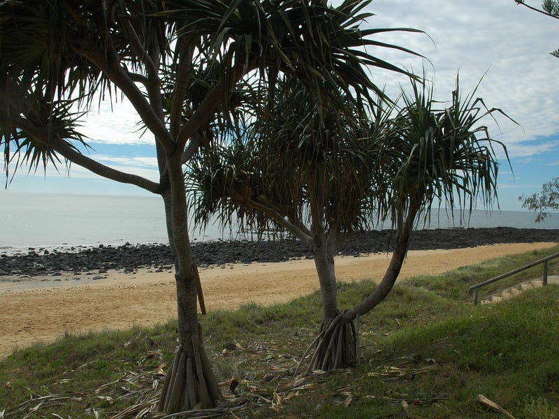 Coastal Lifestyle 12