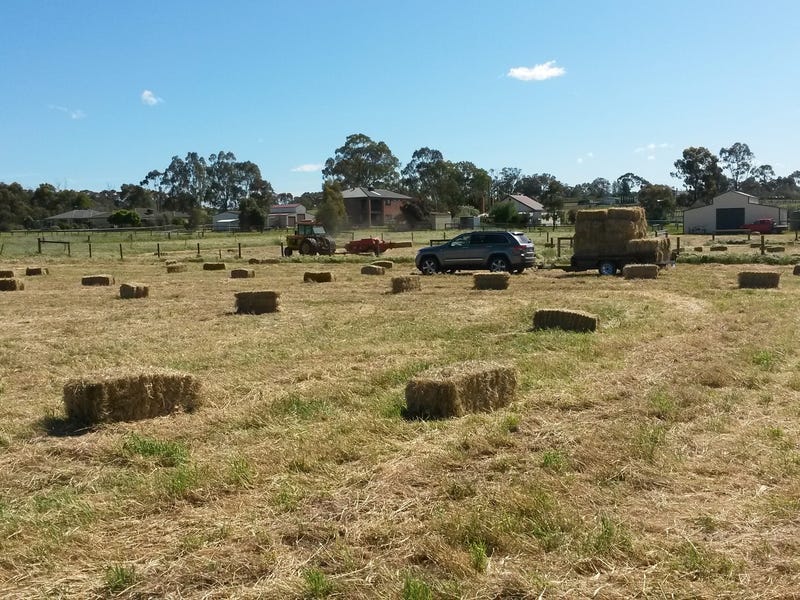 House site, Tradie Shed / 2