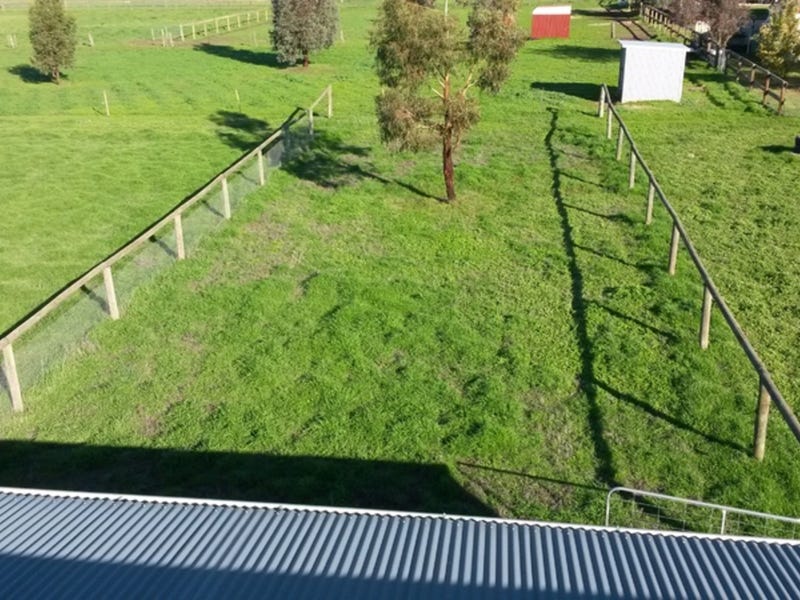 House site, Tradie Shed / 9