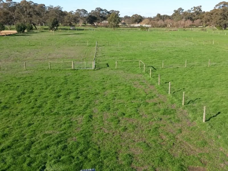 House site, Tradie Shed / 10