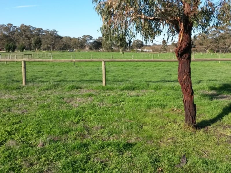 House site, Tradie Shed / 12
