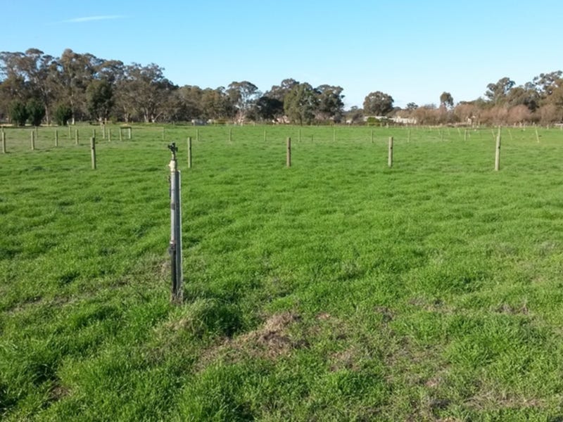 House site, Tradie Shed / 13