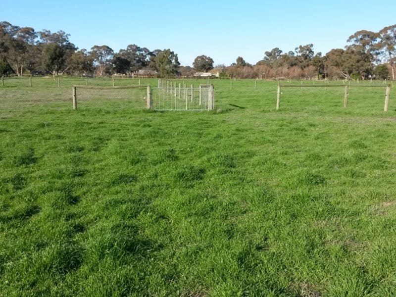 House site, Tradie Shed / 14