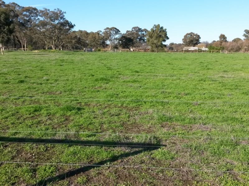 House site, Tradie Shed / 16