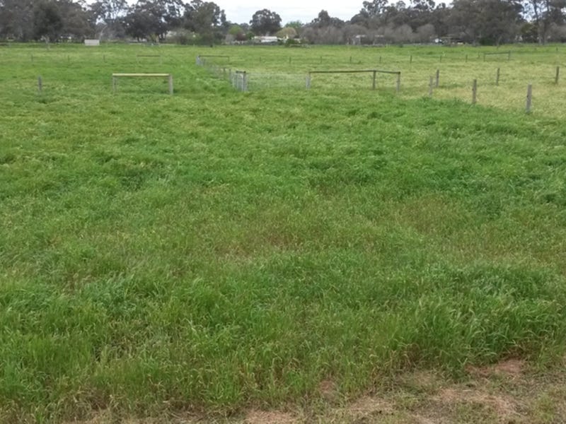 House site, Tradie Shed / 19
