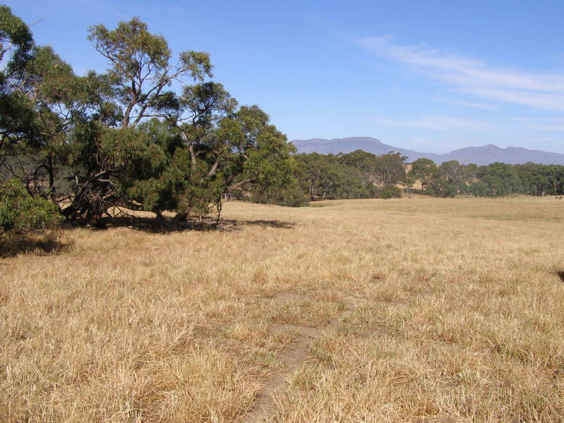 Grampians Region – Moyston 114.5 acres land for sale