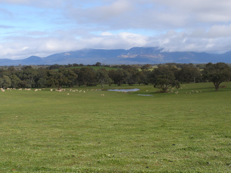 Grampians Region – Moyston 114.5 2