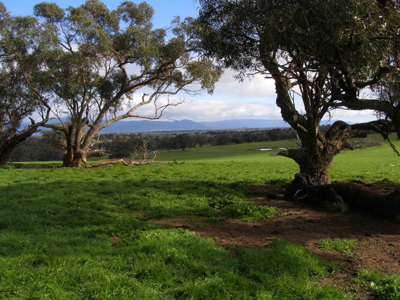 Grampians Region – Moyston 114.5 5