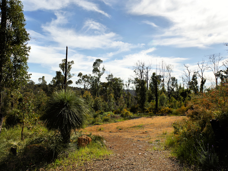 1/2 Acre overlooking the Stoneville 2