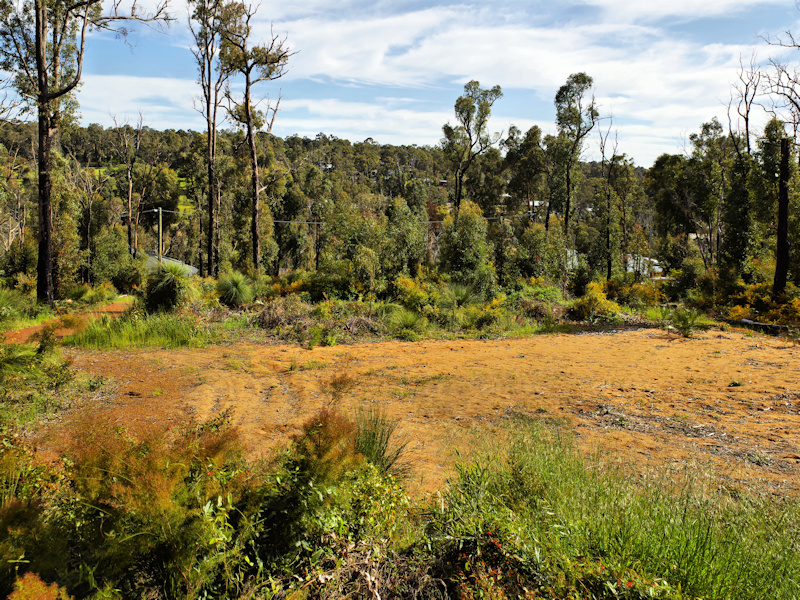 1/2 Acre overlooking the Stoneville 3