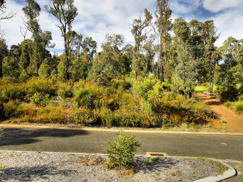 1/2 Acre overlooking the Stoneville 5