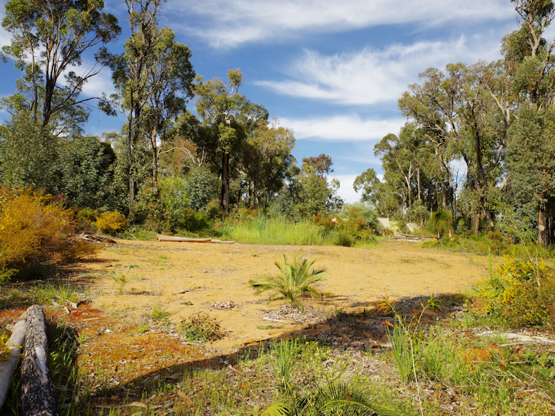 1/2 Acre overlooking the Stoneville 6